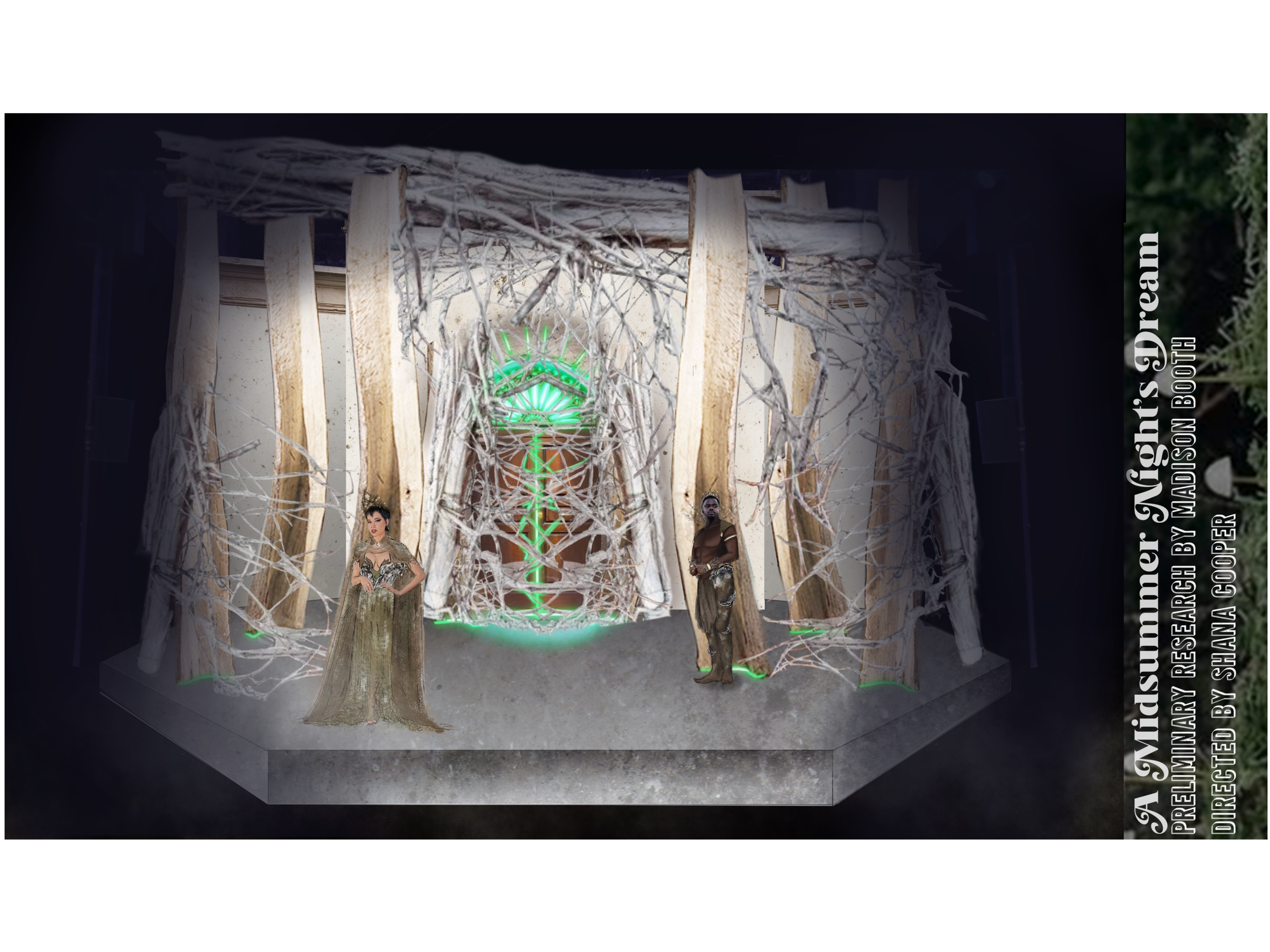Forest_Transition 2.png