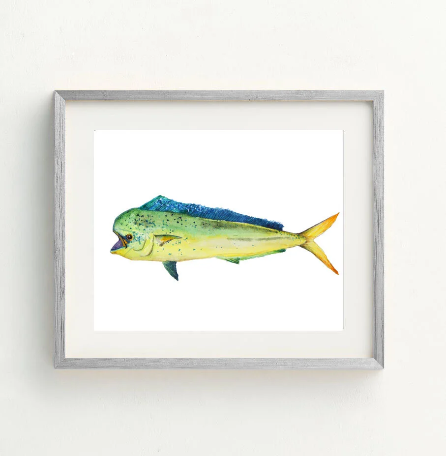 mahimahi framed 2 .jpg