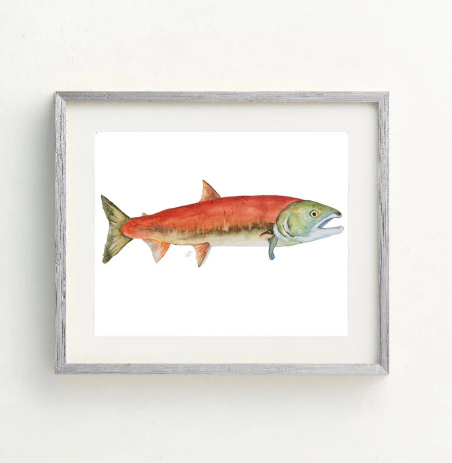 Salmon framed  .jpg