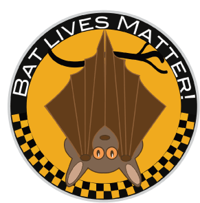 BatLivesMatterPinShop.png