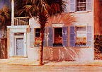 palmshad2.jpg