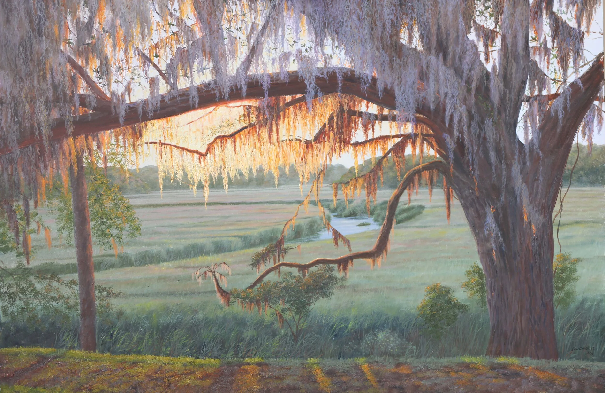 sunsetmoss100419.jpg