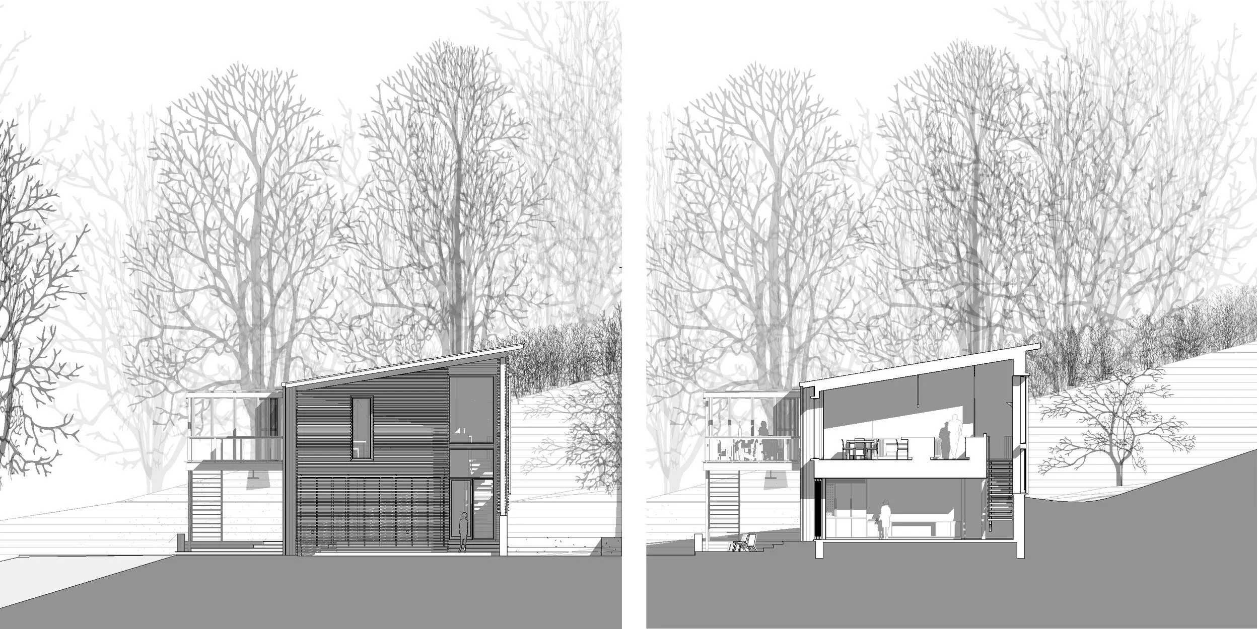 Wood Screen House Elevation Section Raw.jpg
