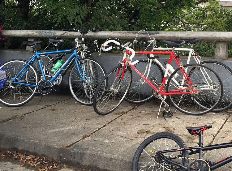 Some old steel road bikes.