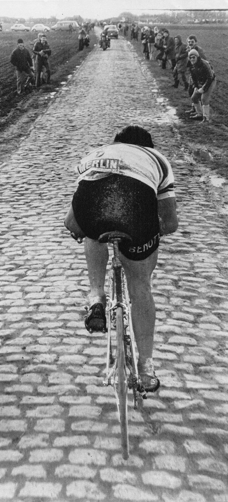 Ugh look at Moser's guns - like he could drop a motorcycle or pop your head off. The cobbles aren't hurting him, he's hurting them .
