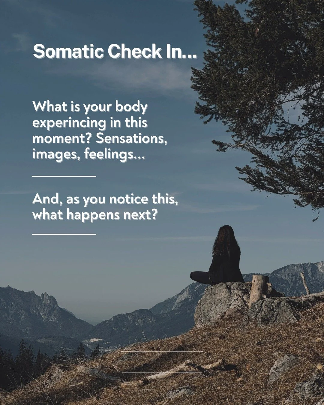 A Somatic Check In is a way to start to build a relationship with the body and it's experience. This can be a brief check with the body after a moment of transition, at the end or start of the day, or at any moment when it feels like the right time. 