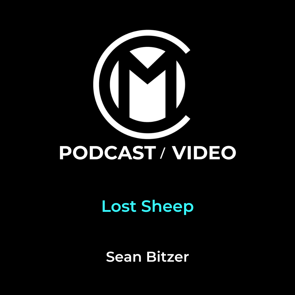 Lost Sheep