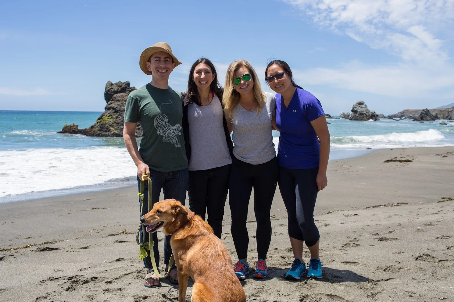 Beach time for the Binti team, including Stewie (office pup and head engineer).