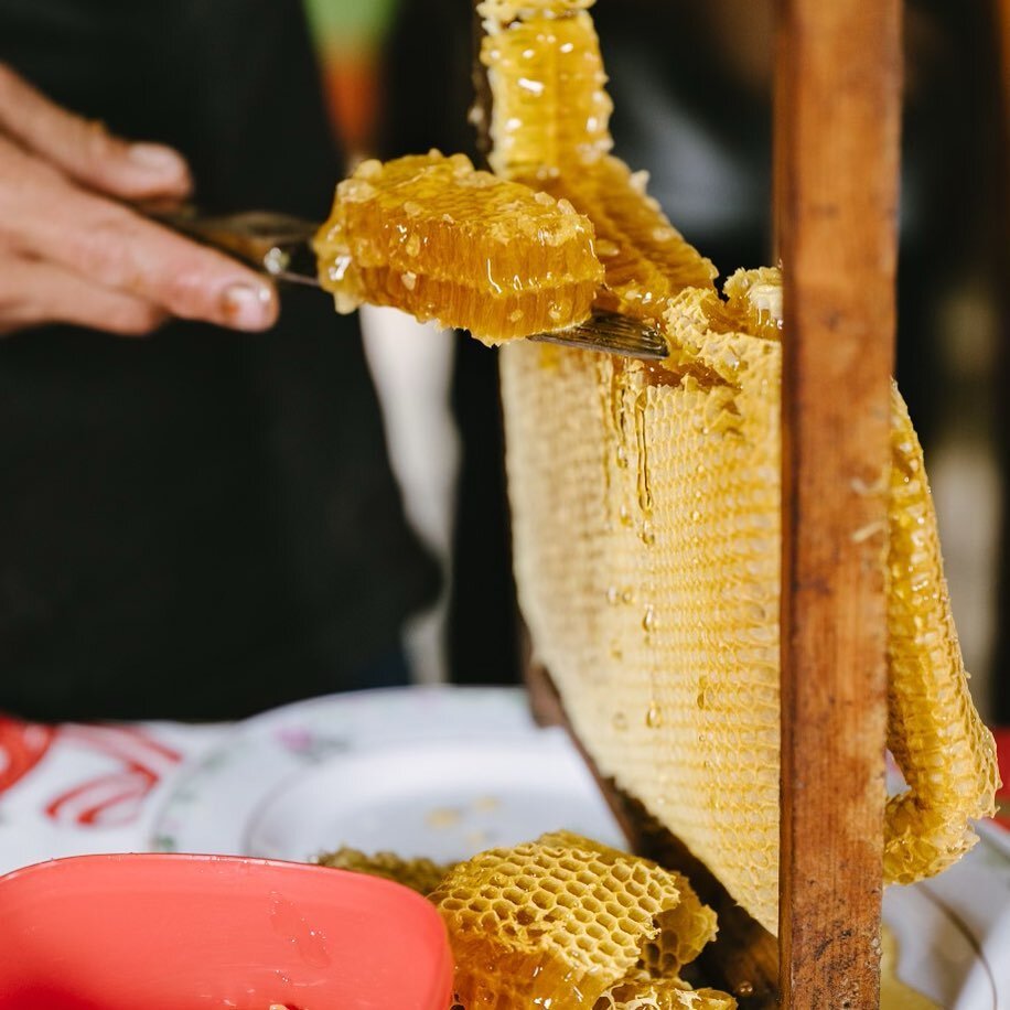 Have you ever tasted honey straight from the comb?

Last week we visited some of our honey producing friends in Huehuetenago, Guatemala. It was an amazing trip, and we captured lots of stories to share with you about our fantastic partners and their 