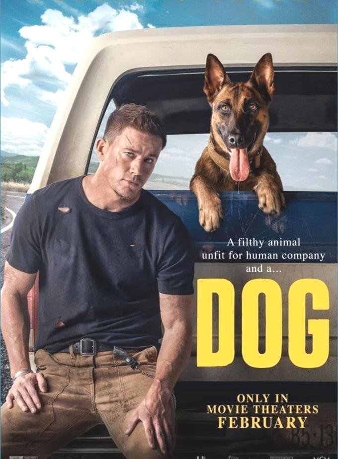 Dog poster