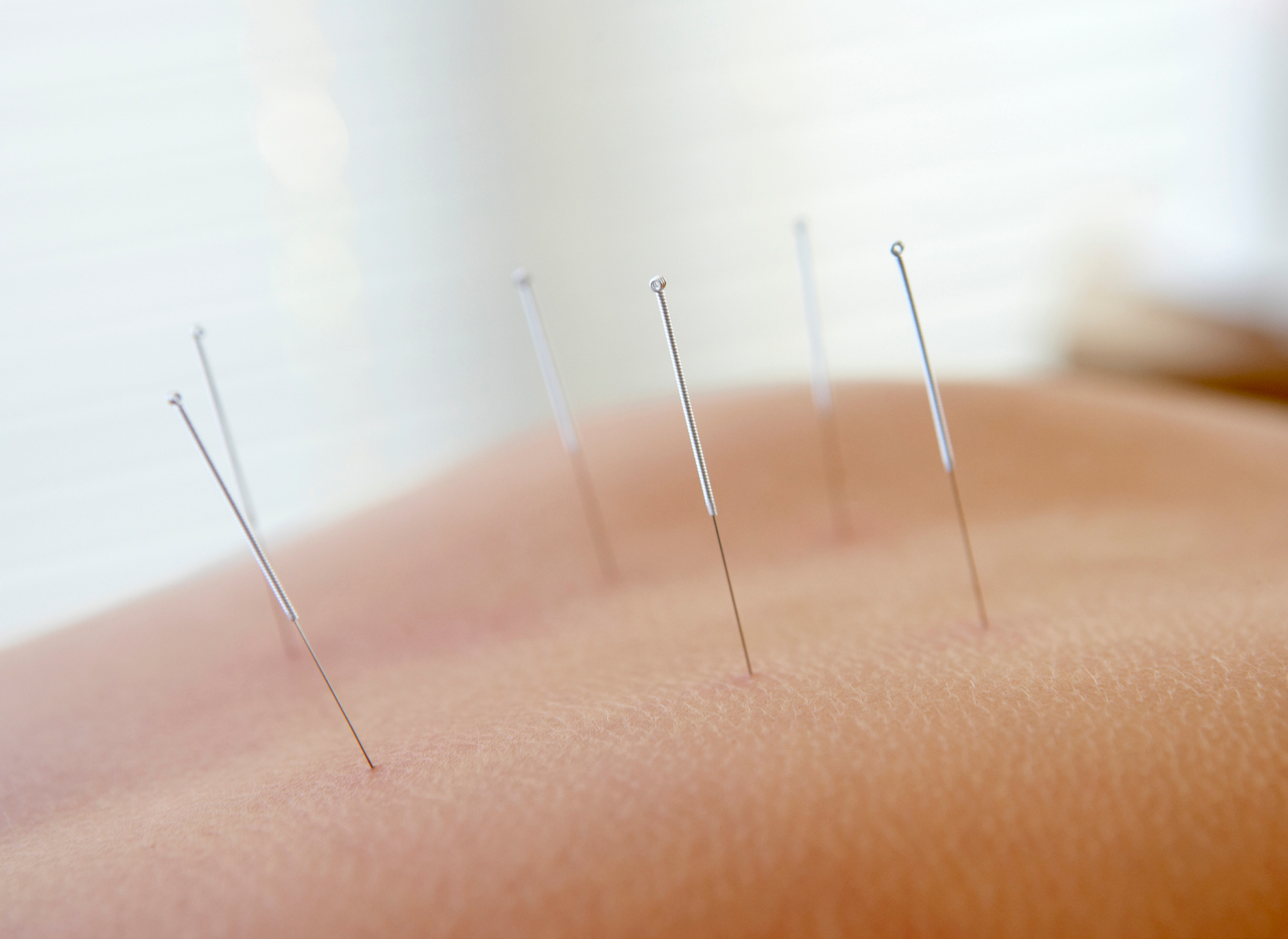 Copy of Copy of Untitled.png