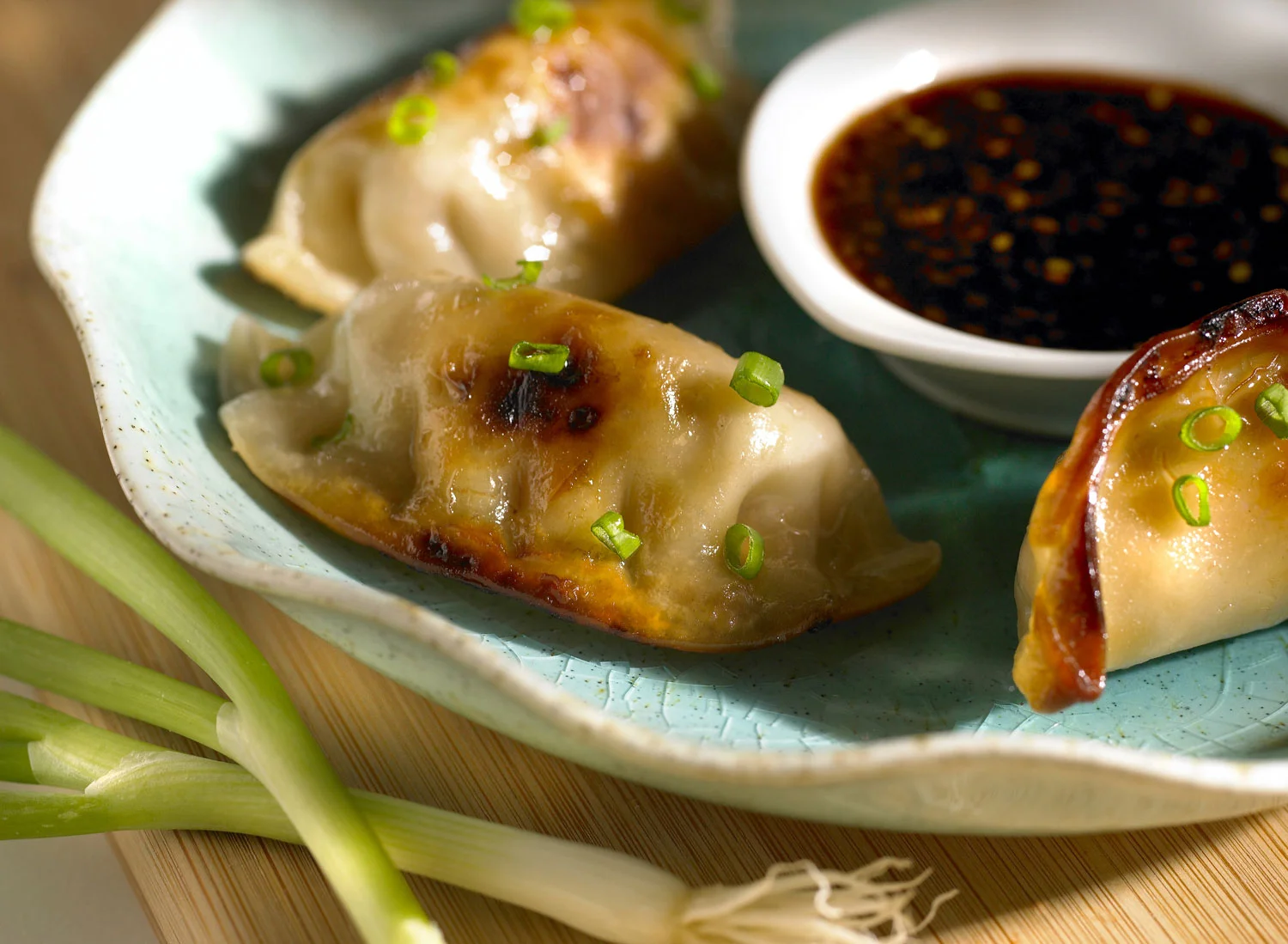 Pot_stickers_copy.jpg