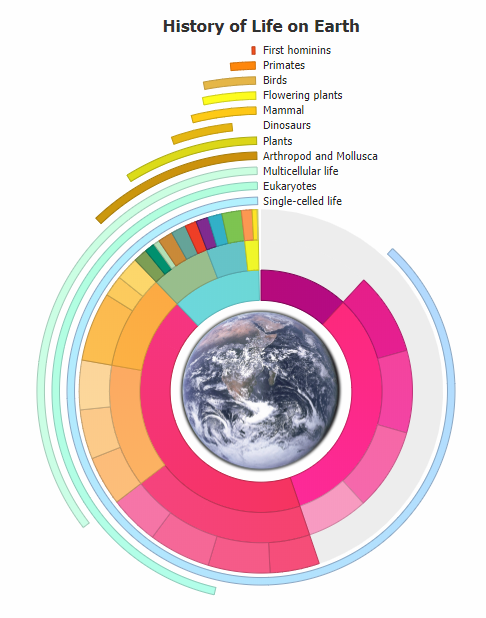 Radial Pie Chart