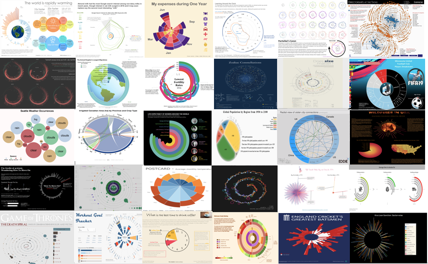 Radial Graph Examples - SWD Challenge Recap — storytelling with data