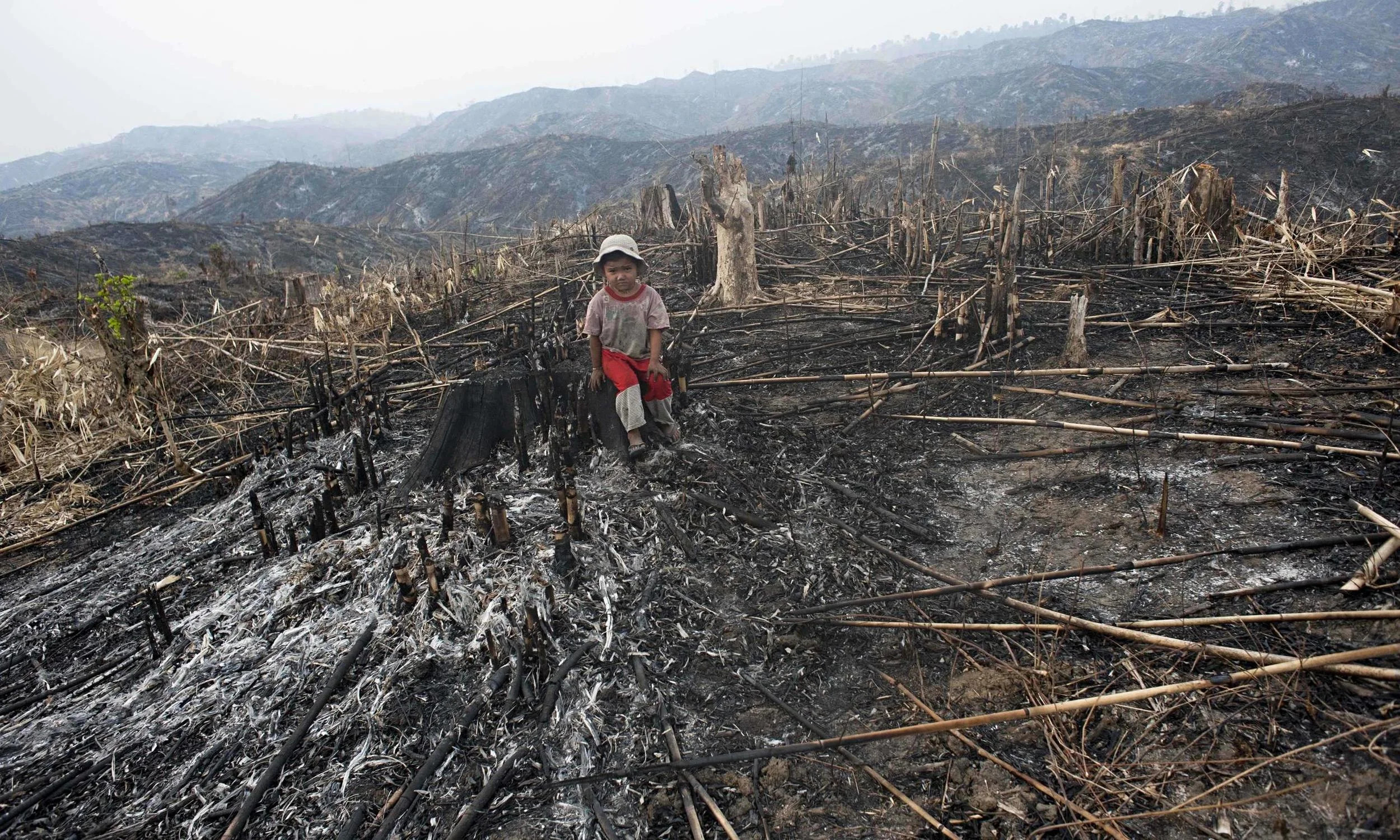Ask World Leaders to Pass International Ecocide Law