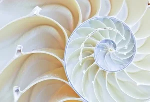 Taking the Long View: 7-Year to 7th-Generation Impact Strategy