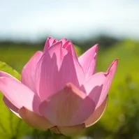 Taking the Leadership Leap