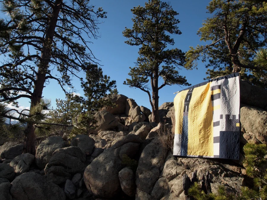 Quilt no. 0011: Back