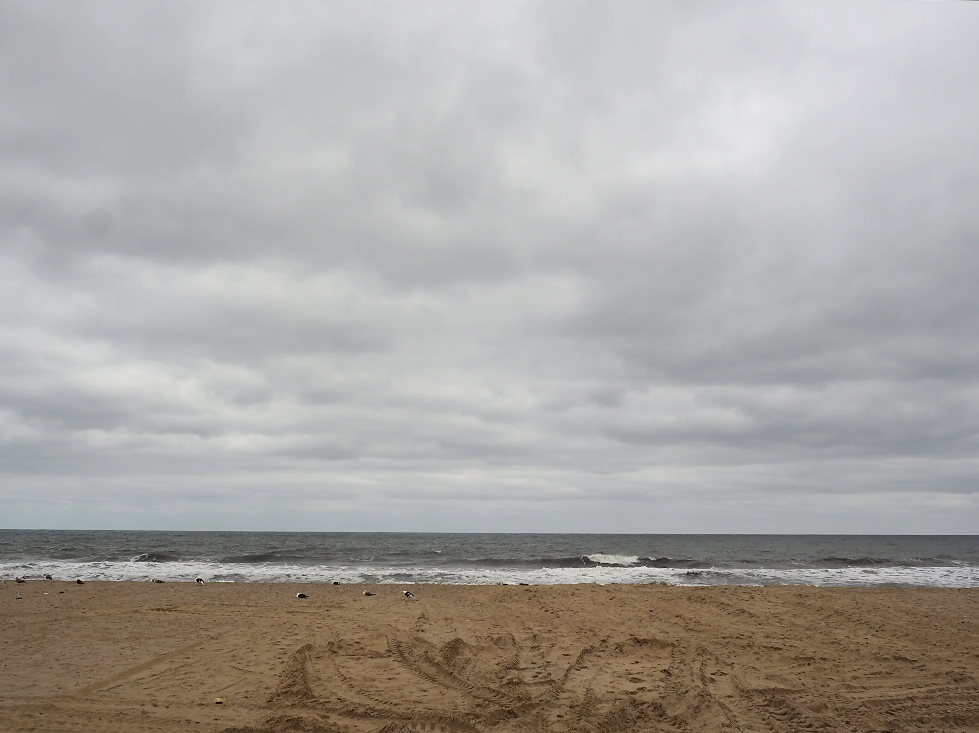 Gulls and Tire Tracks, Asbury Park NJ