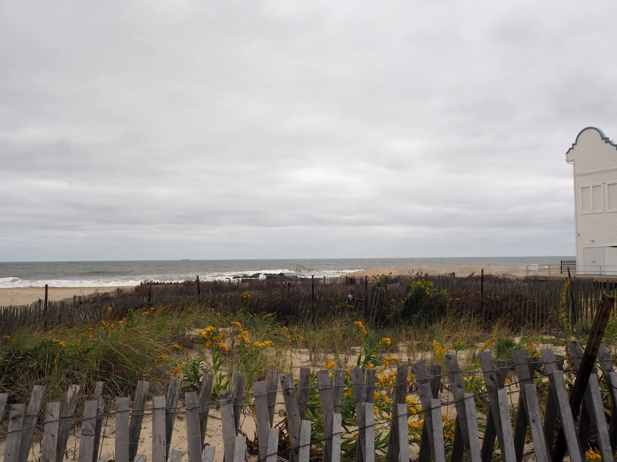 Golden Rod on the Beach, Asbury Park, NJ