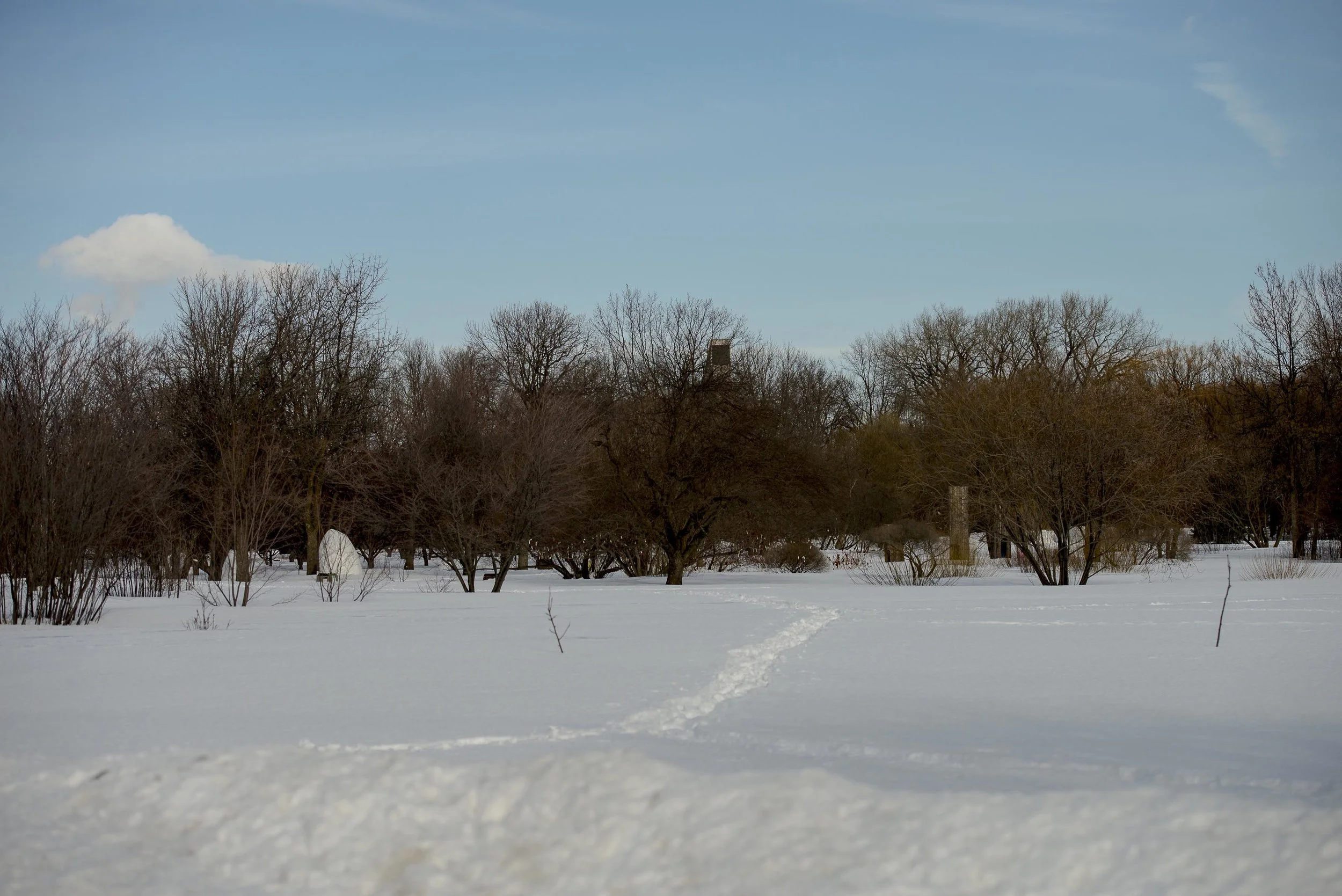 _DSC5132.jpg