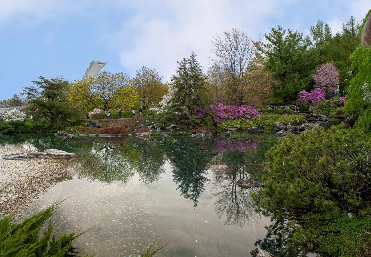 jardin-Sat1a.jpg