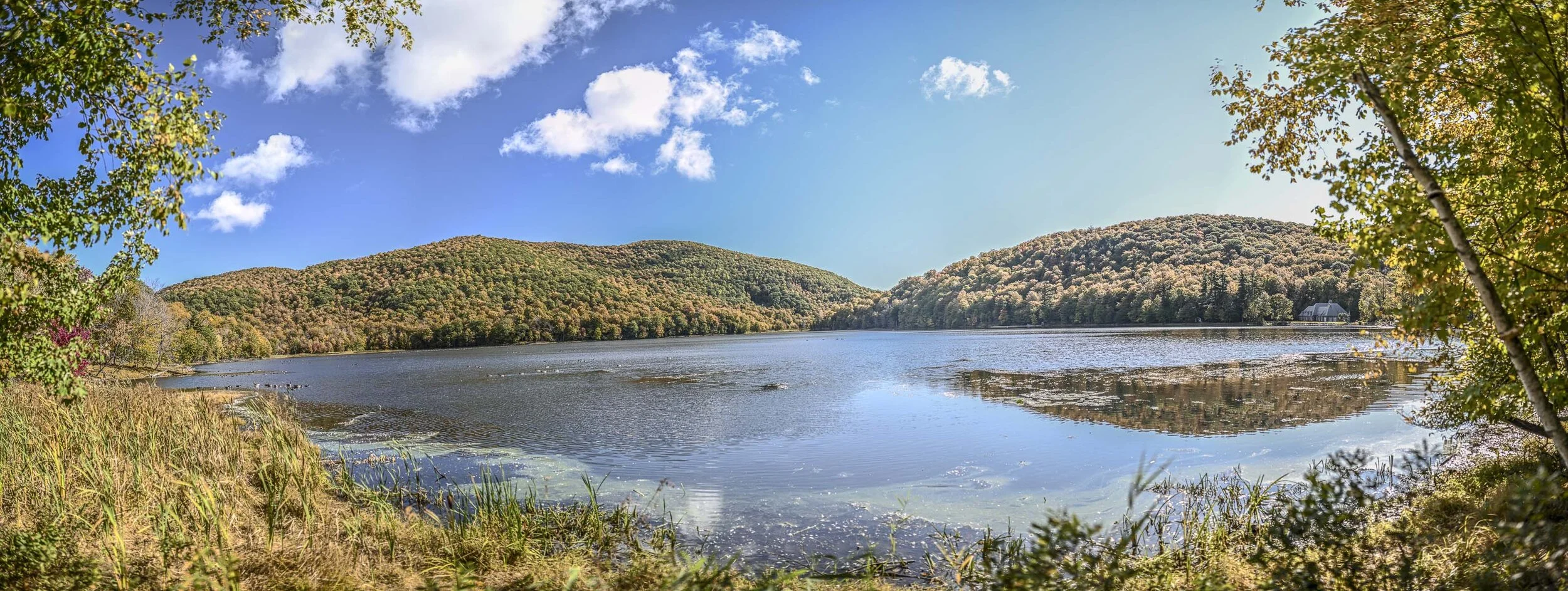 DSC_9294-Pano.jpg