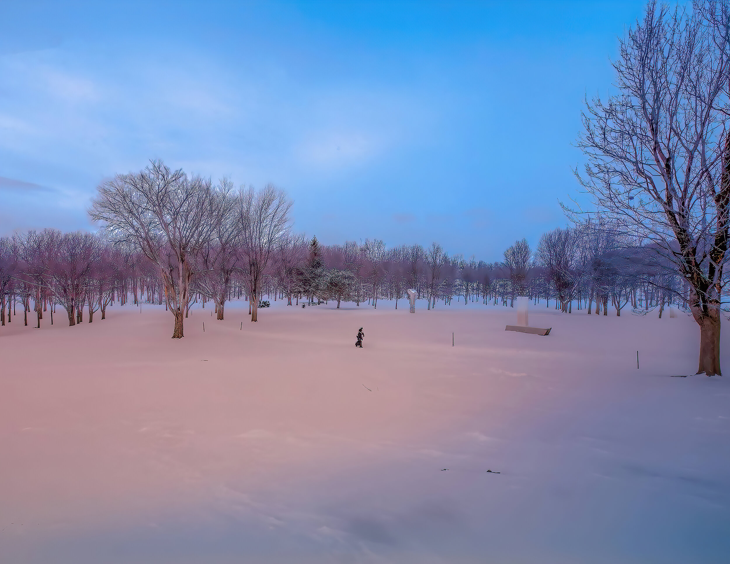 Lonely-standard-scale-4_00x-gigapixel (1).jpg