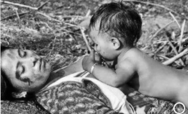 Con bú trên xác mẹ đã chết (đại lộ kinh hoàng /Quảng Trị/ Mưa pháp Bông Lau Quân đội Nhân Dân.)