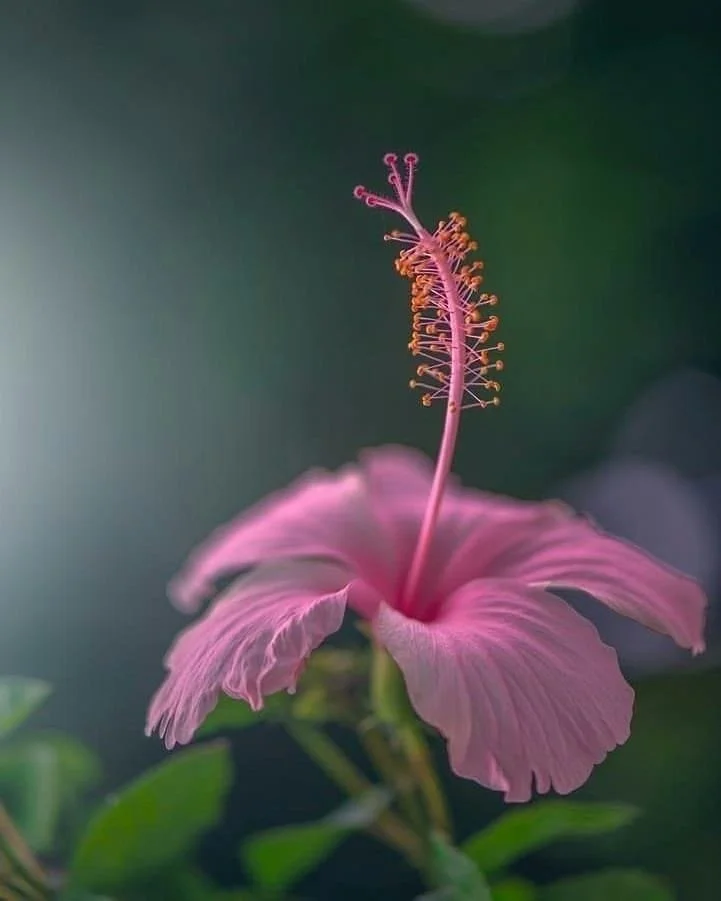 ẢNH ĐẸP CUỐI TUẦN 05.21.2023 (Bức Tranh Vân Cẩu sưu tầm) — Bức Tranh