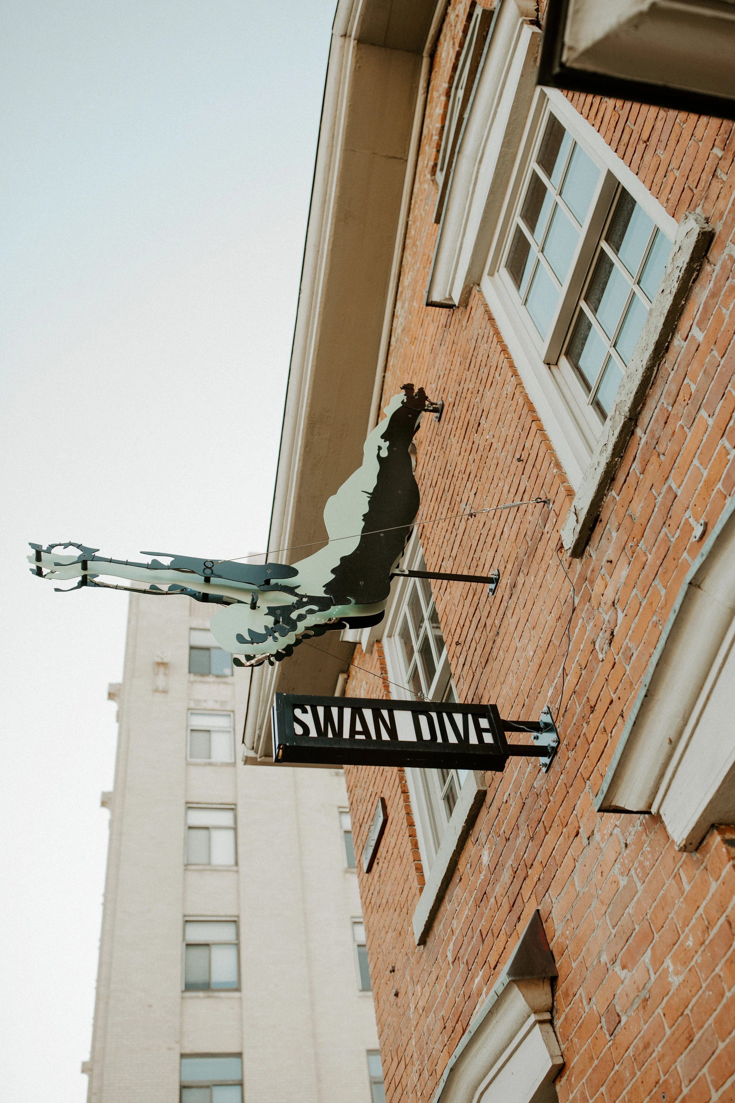 _Alyssa_Flood_Photography_BIM_Swan_Dive-8268.jpg