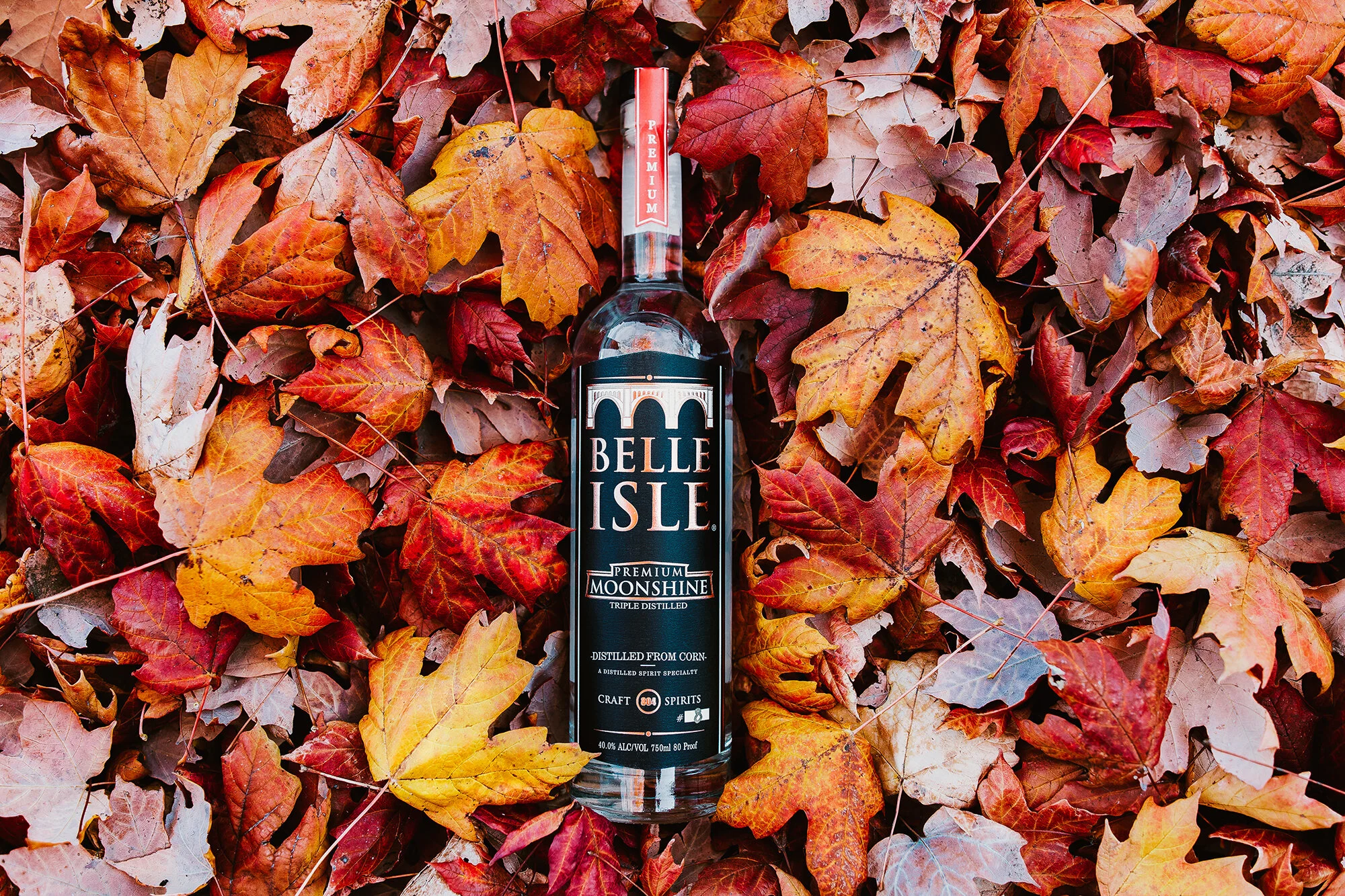 Get cozy with some ‘shine. All photos by Joey Wharton.