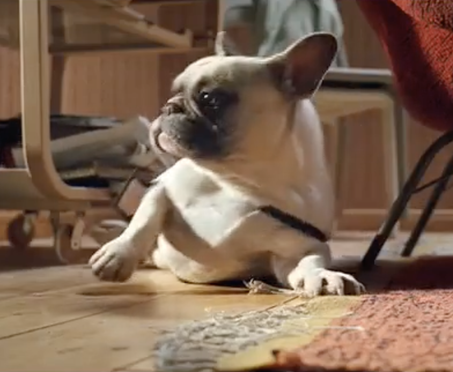 Screenshot 2025-12-01 at 4.37.53 PM.png