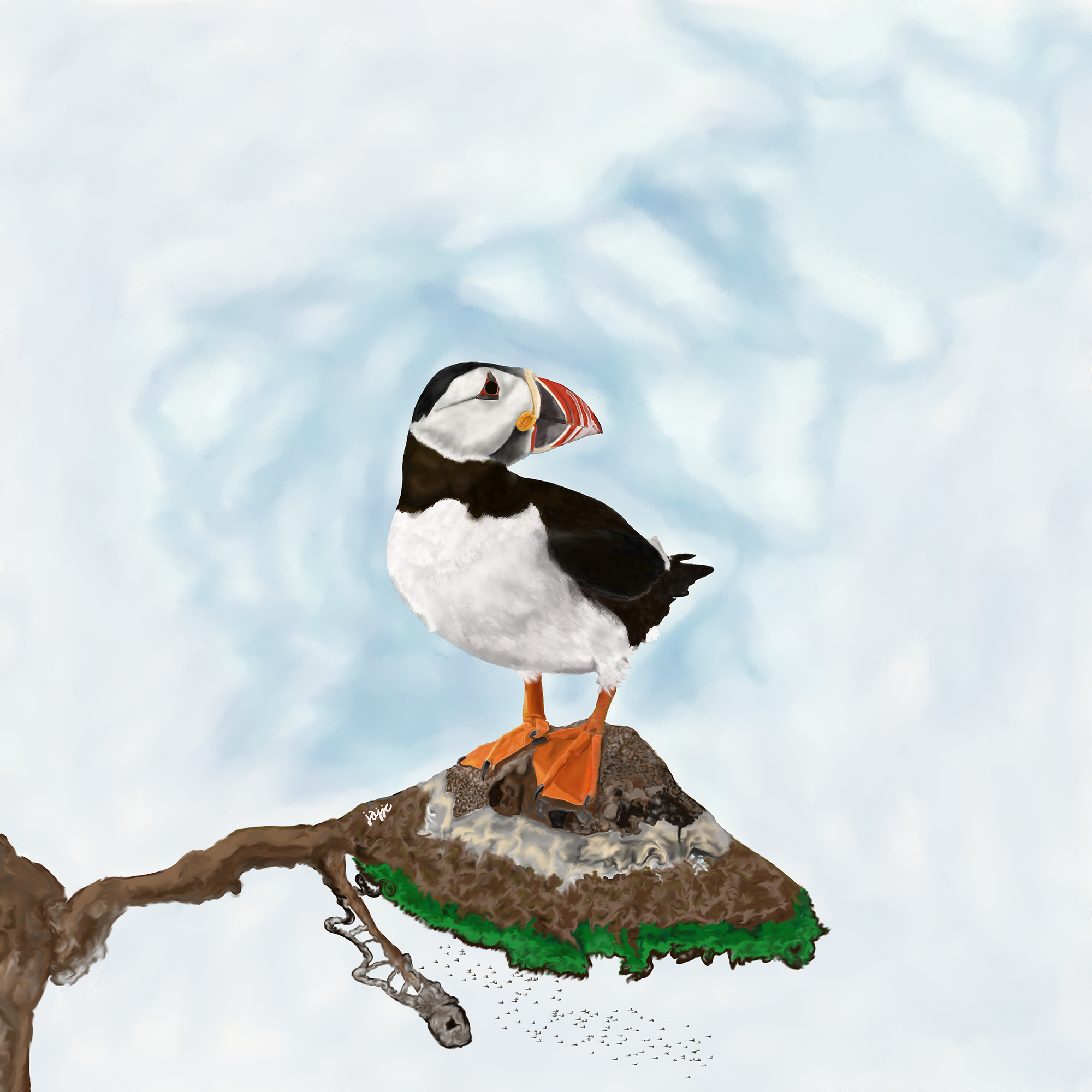 Web Version Puffin Profile.png