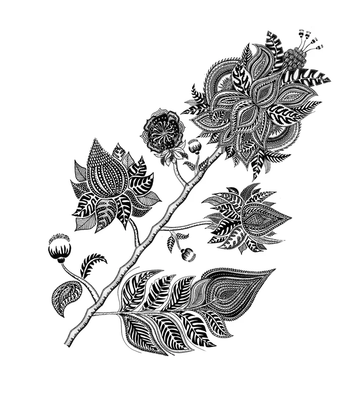 0 adelaide aronio fleur test1.jpg