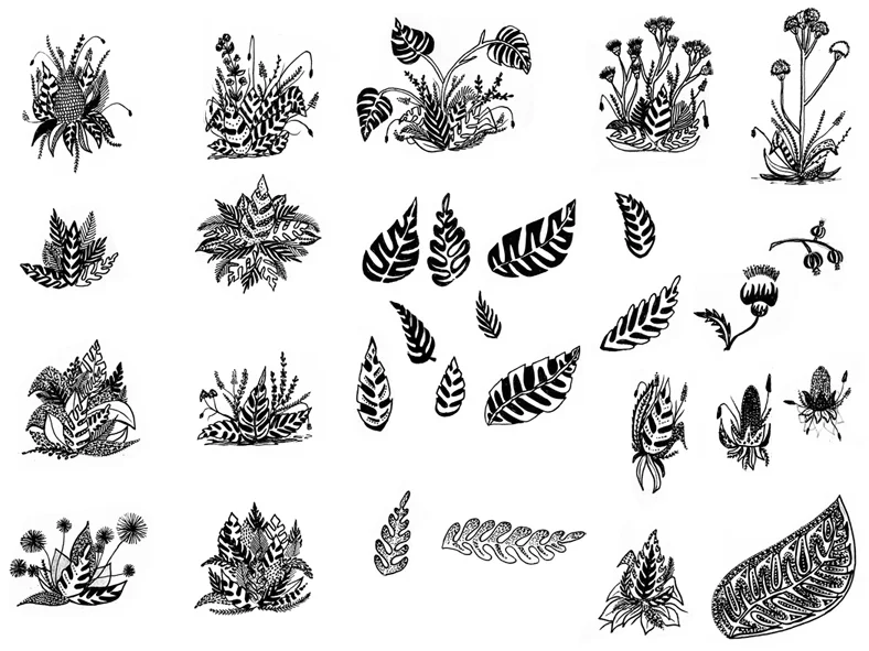 0 adelaide aronio plancheplantes decomposé.jpg
