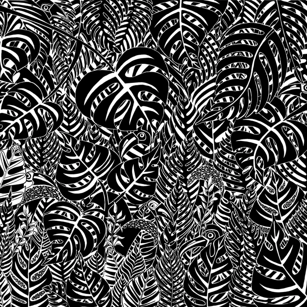 0 toucan adelaide aronio 50x50cm handdrawn.jpg