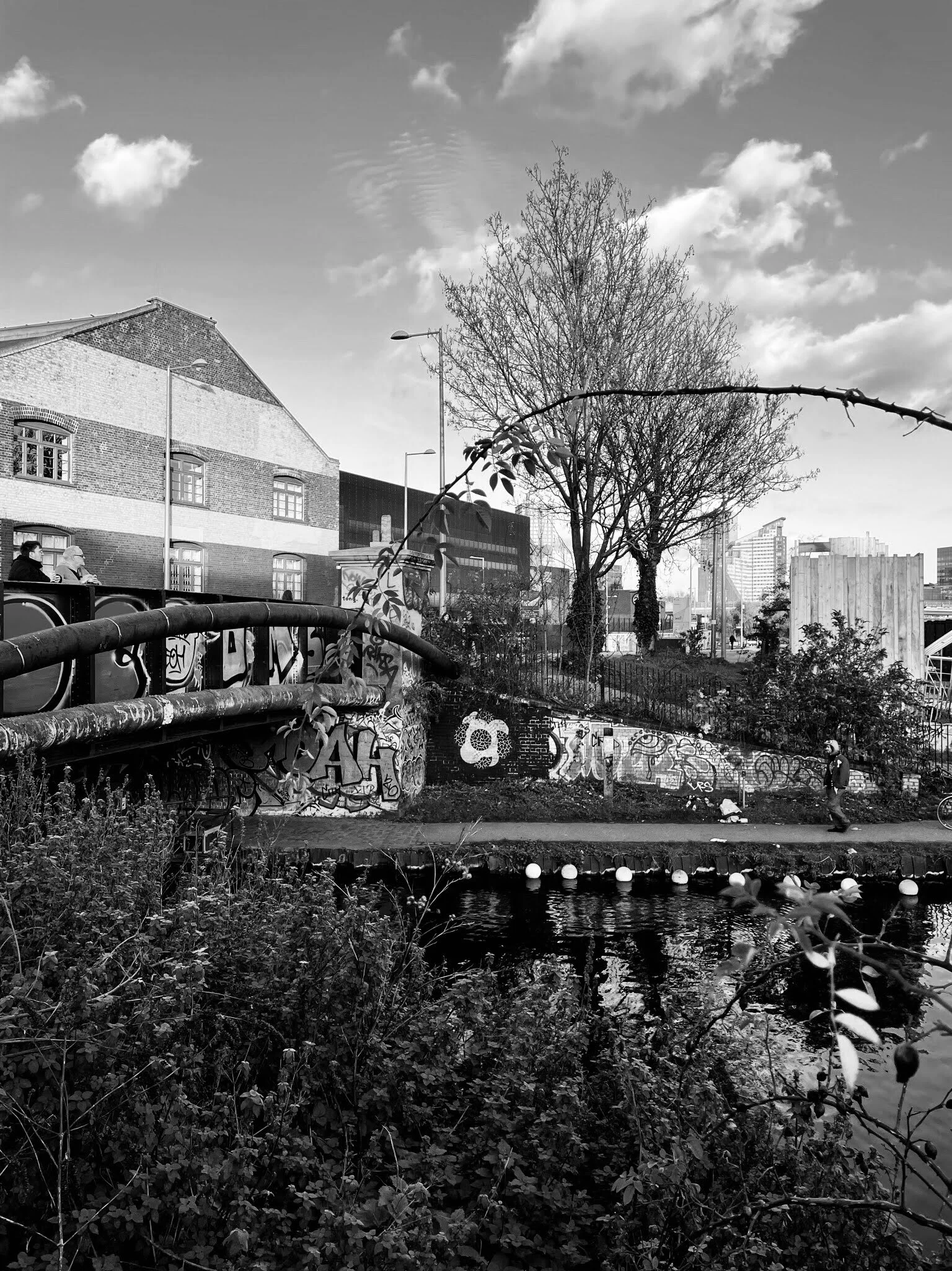 IMG_0028 (1).JPG