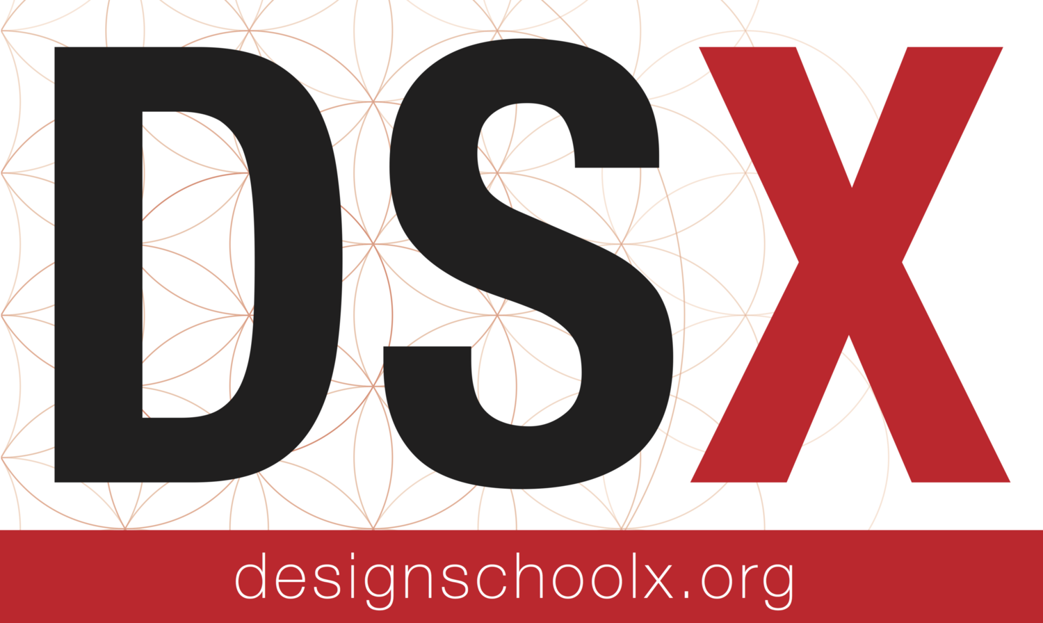 design school x (DSX)