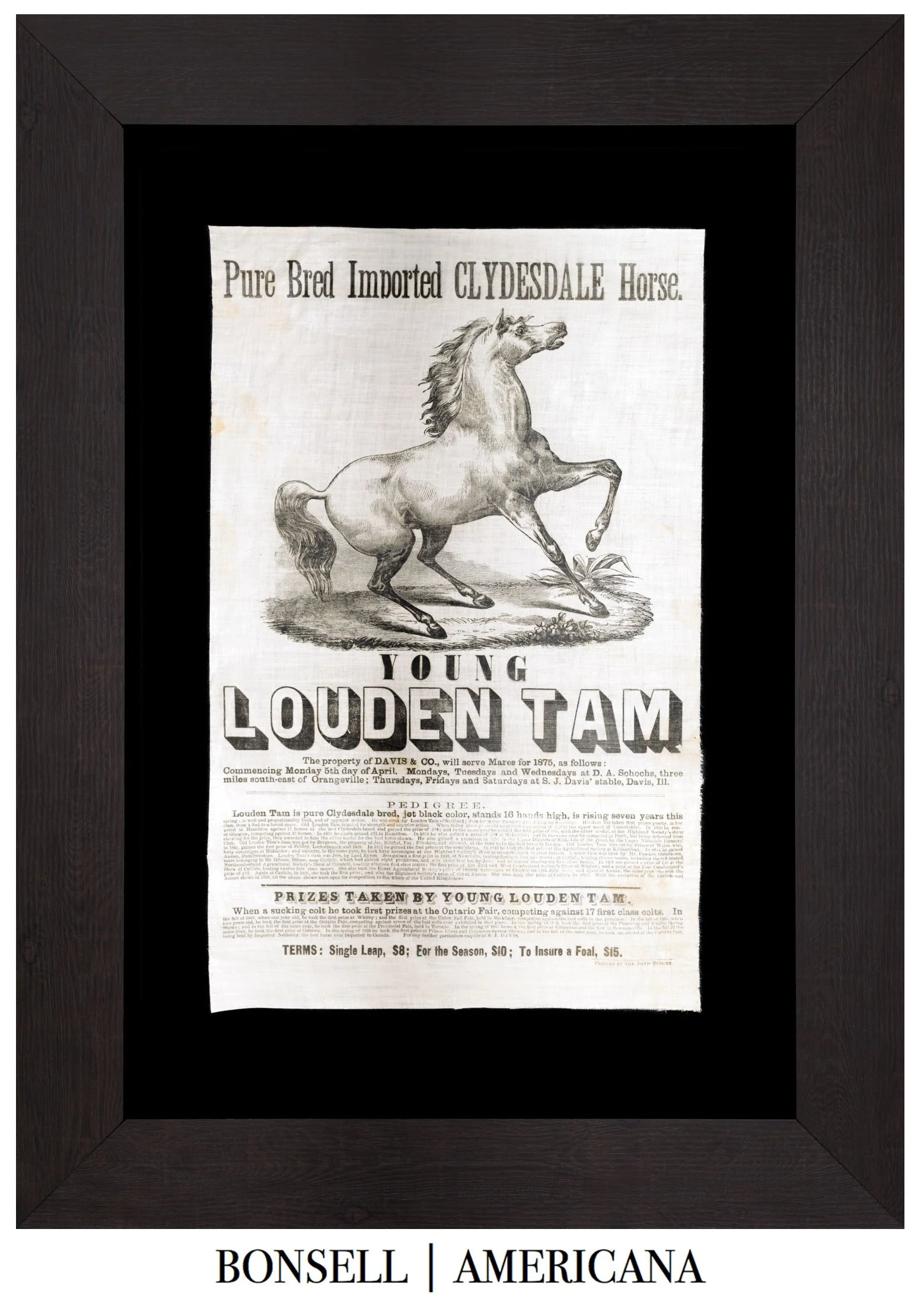 Young Louden Tam Glazed Cotton Broadside | Illinois Draft Horse Advertising | Circa 1875