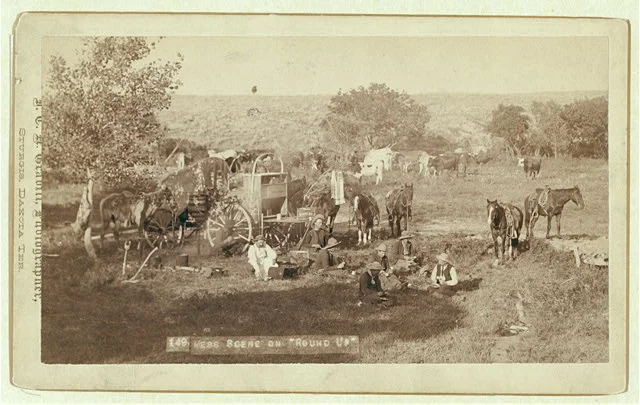 Cowboys Eating Near a Chuck Wagon with Small Groups of Horses and Cattle in Campsite | Circa 1887