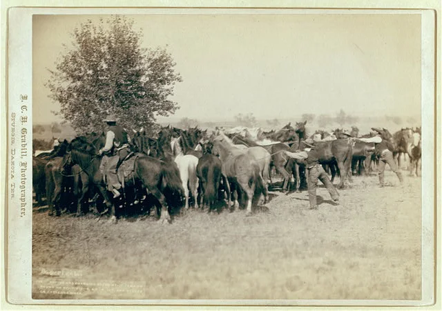 Three Cowboys Roping a Herd of Horses on the Cheyenne River | Circa 1887