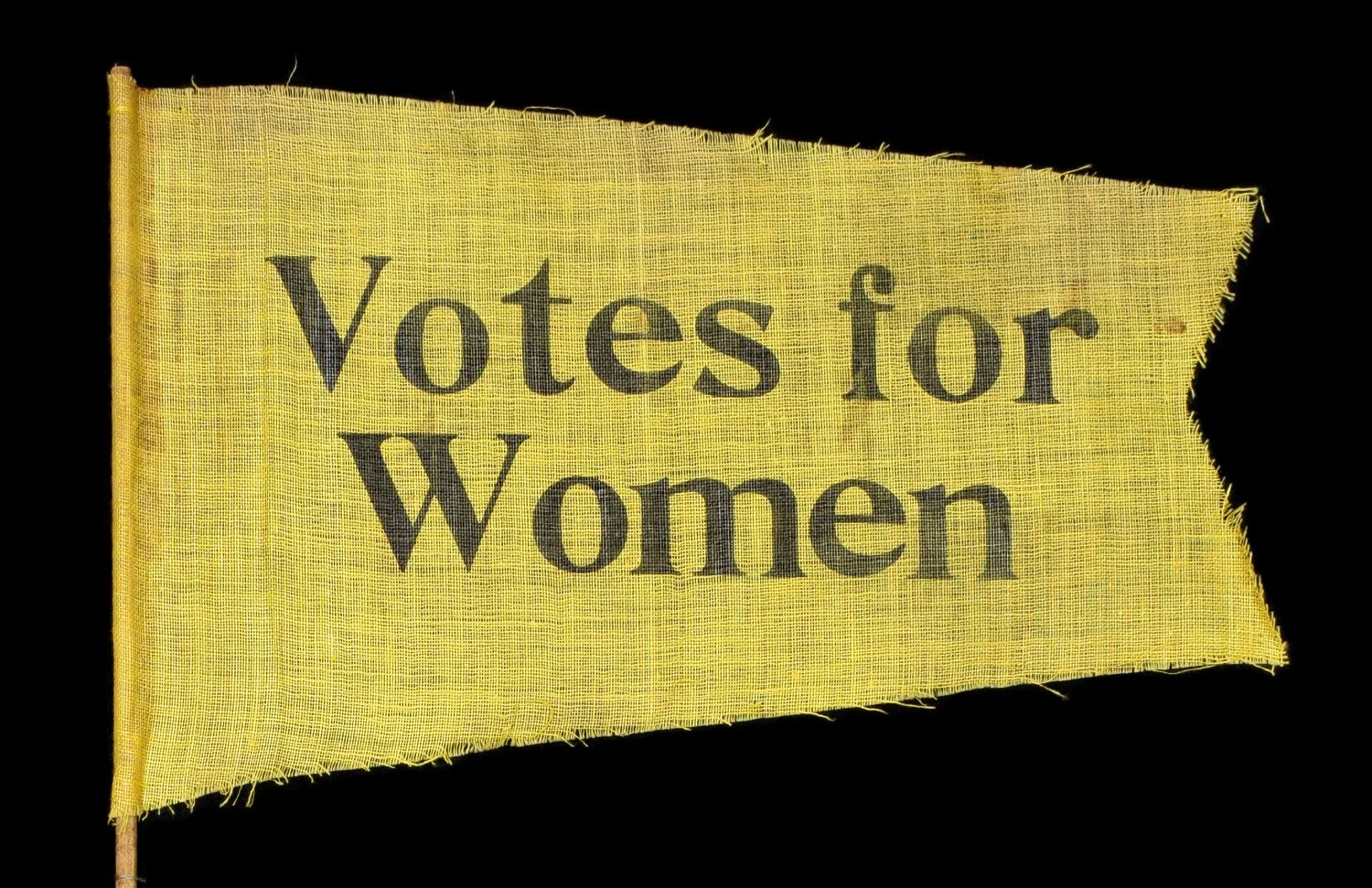 3. Antique Suffragette Votes for Women Pennant.jpg