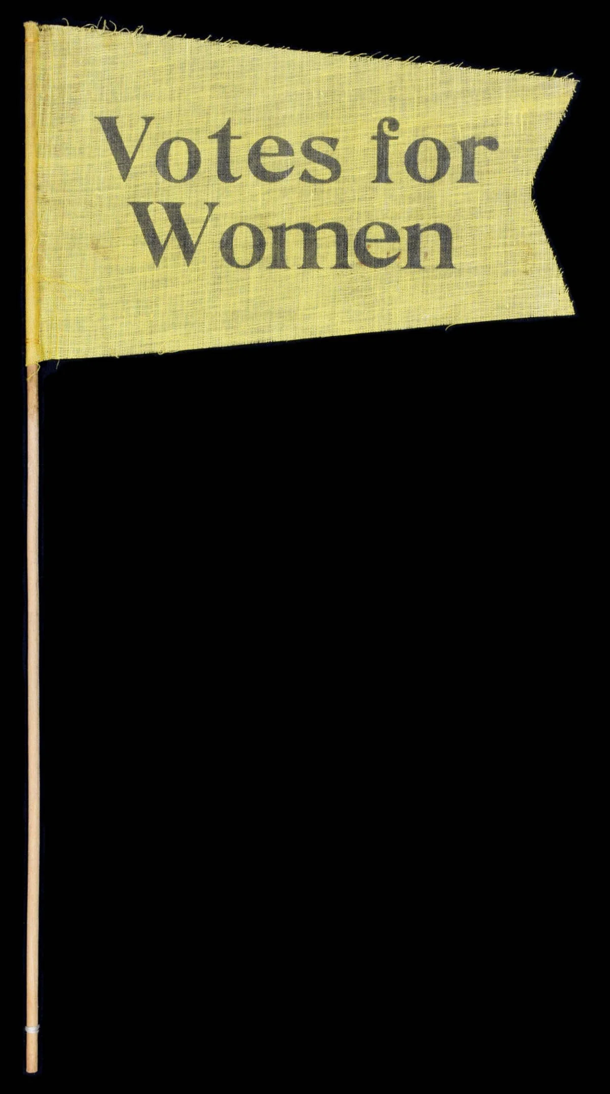 Antique Votes for Women Pennant