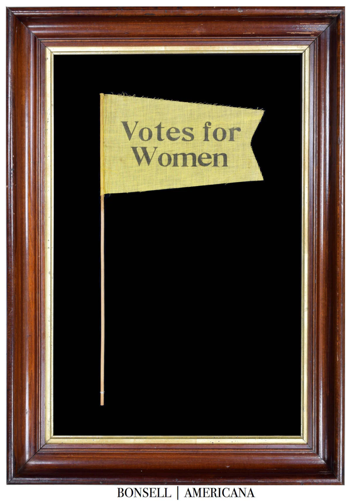 Antique Votes for Women Pennant
