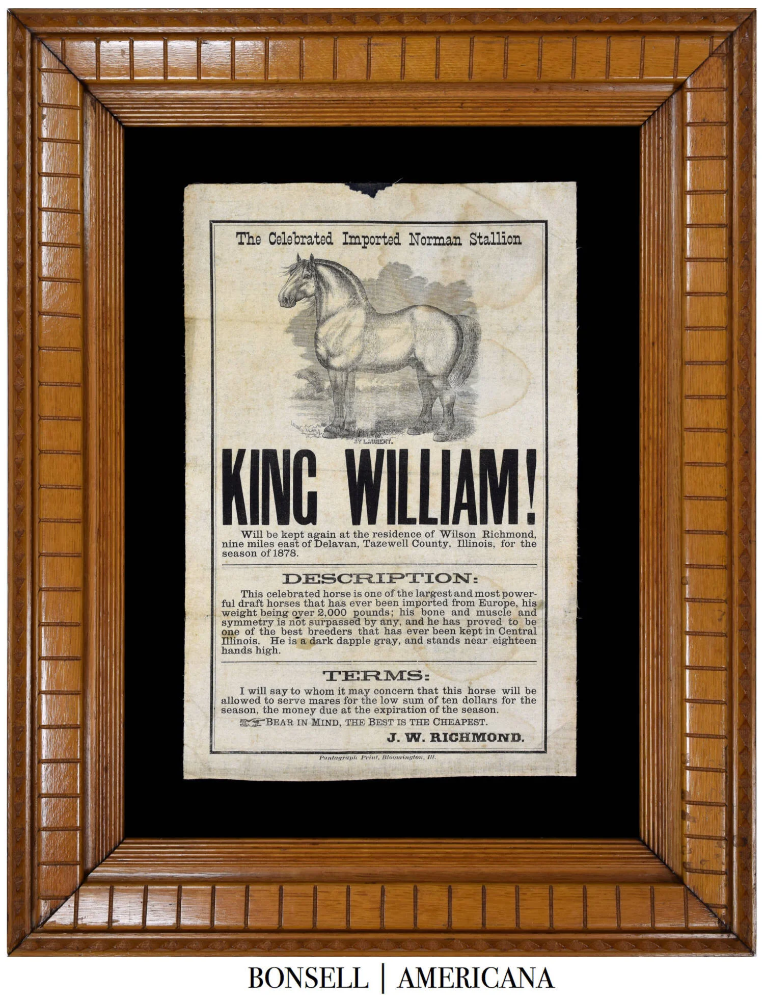 King William | Antique Horse Broadside