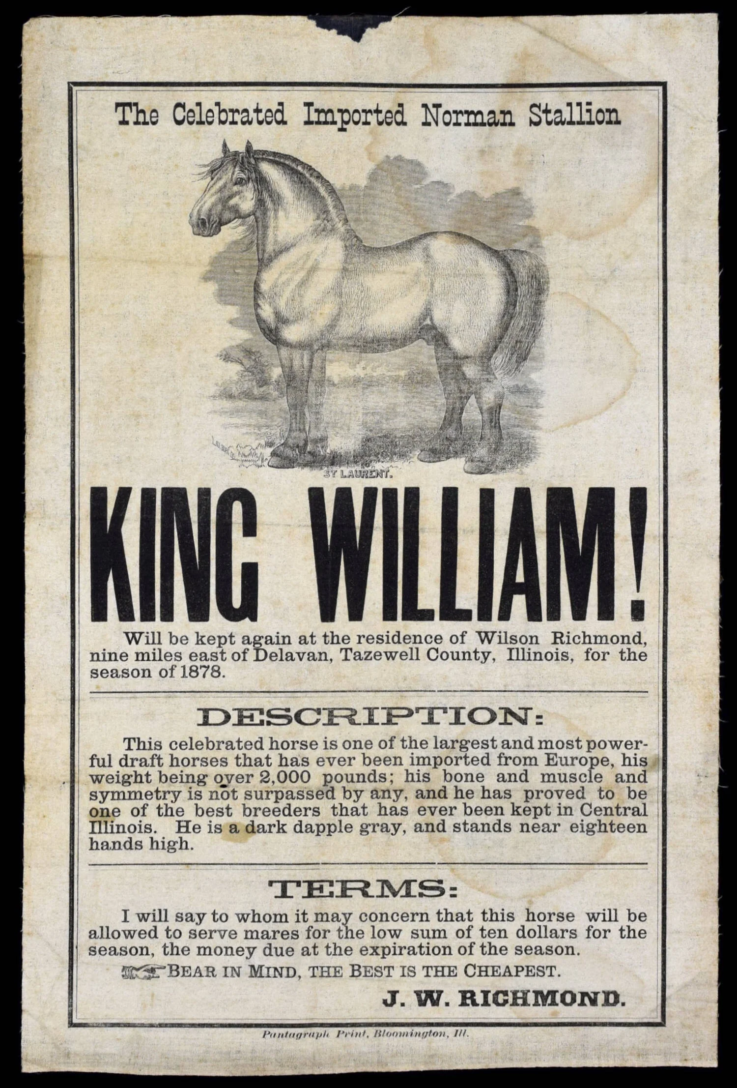 King William | Antique Horse Broadside