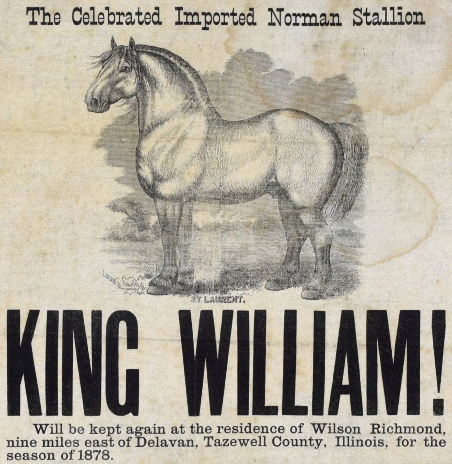 King William | Antique Horse Broadside
