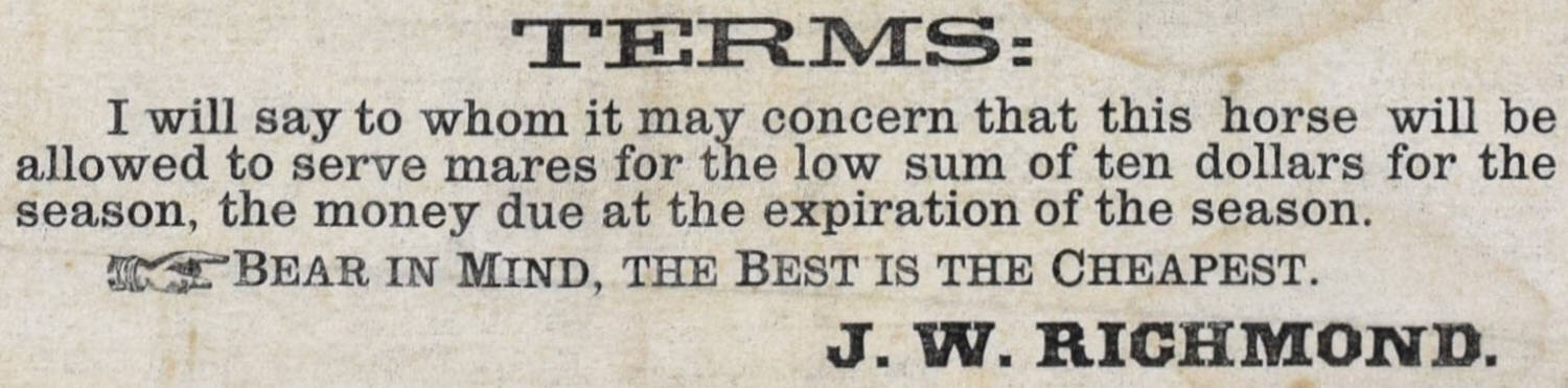 6. King William Broadside.jpg