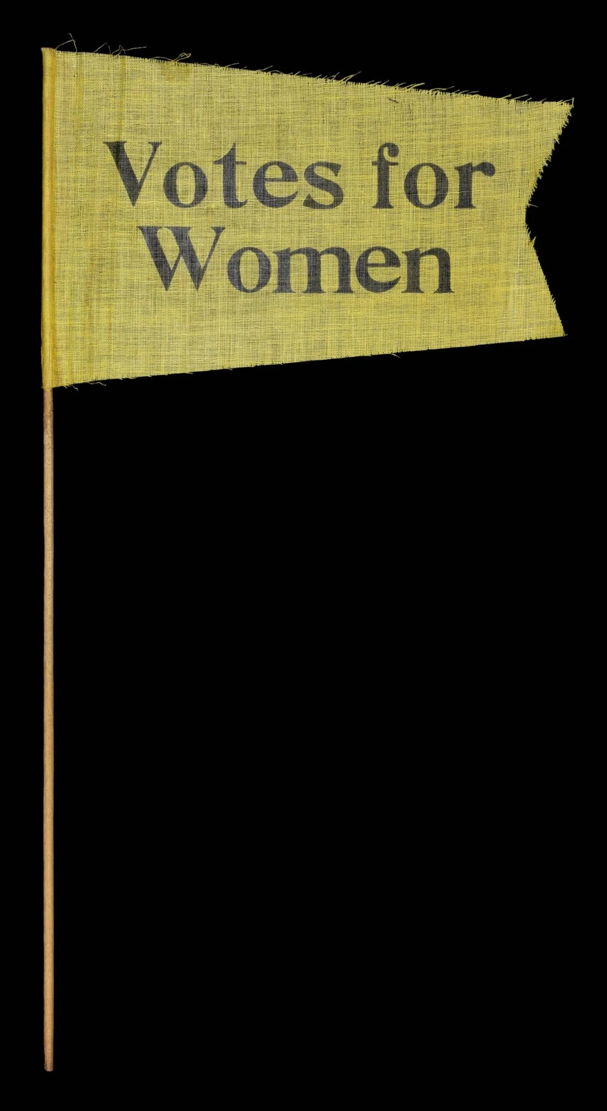 Suffragette Pennant